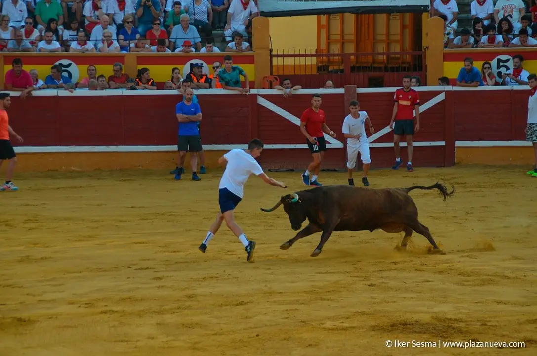 Fiestas de Tudela, día 25 Encierro y Vacas en la plaza 77