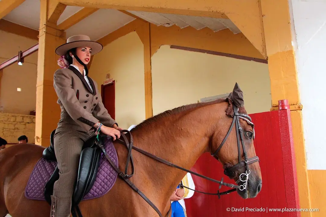 Fiestas de Tudela &rsquo;19, d&iacute;a 25 - Novillada con picadores 3