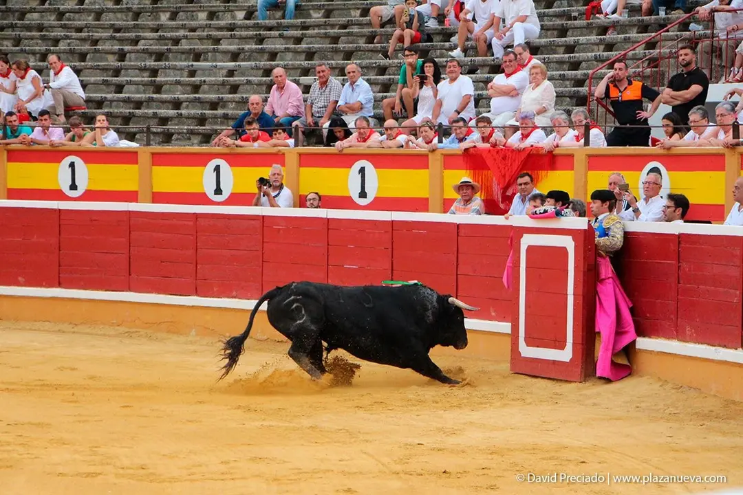 Fiestas de Tudela &rsquo;19, d&iacute;a 25 - Novillada con picadores 5