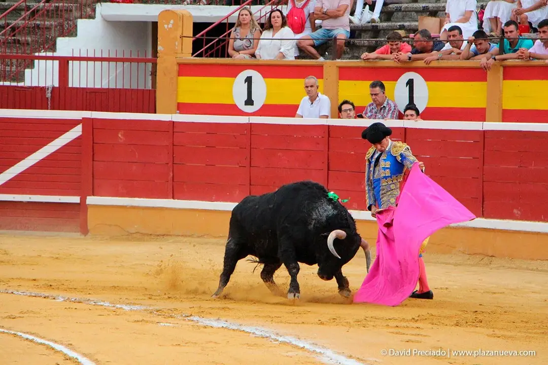 Fiestas de Tudela &rsquo;19, d&iacute;a 25 - Novillada con picadores 6