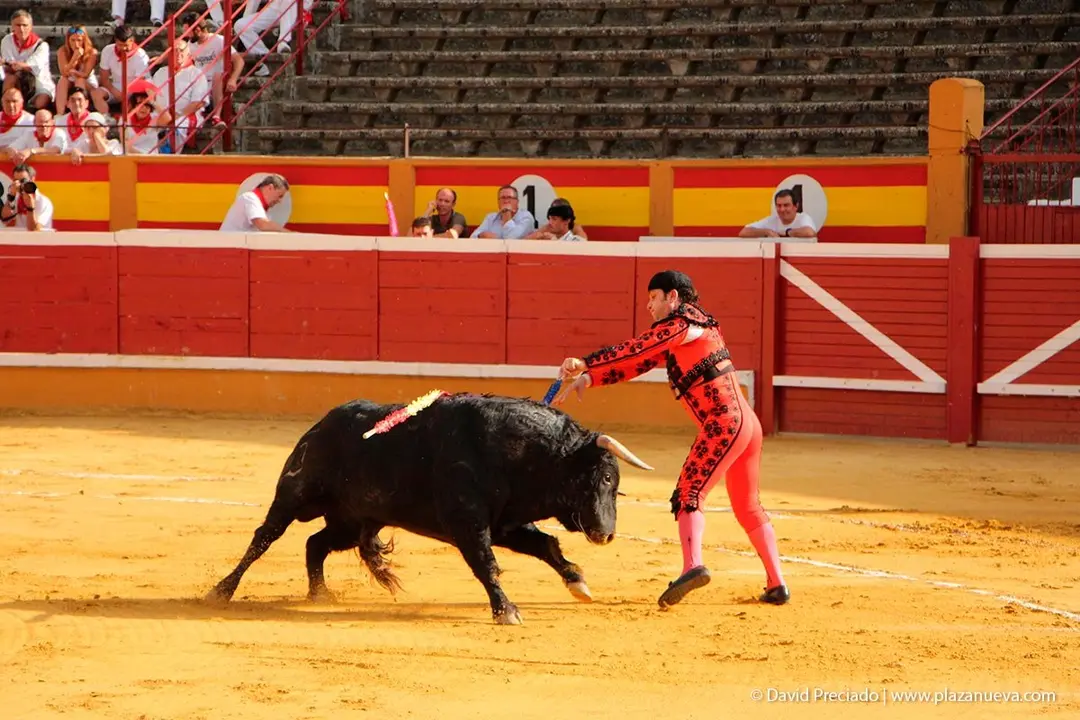 Fiestas de Tudela &rsquo;19, d&iacute;a 25 - Novillada con picadores 7