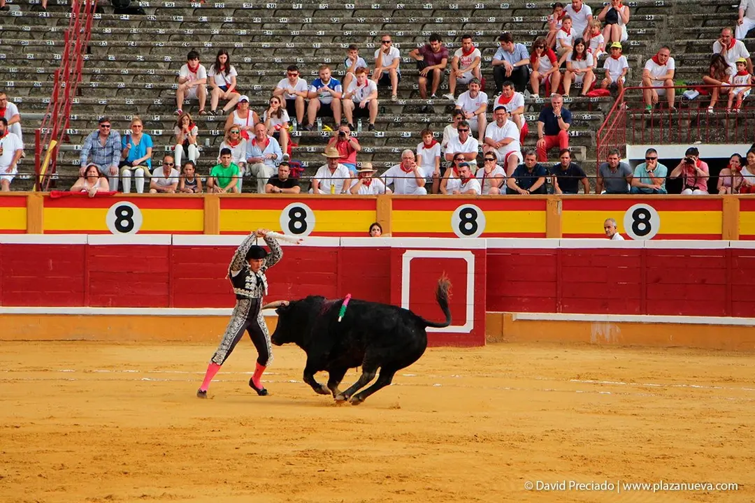 Fiestas de Tudela &rsquo;19, d&iacute;a 25 - Novillada con picadores 8