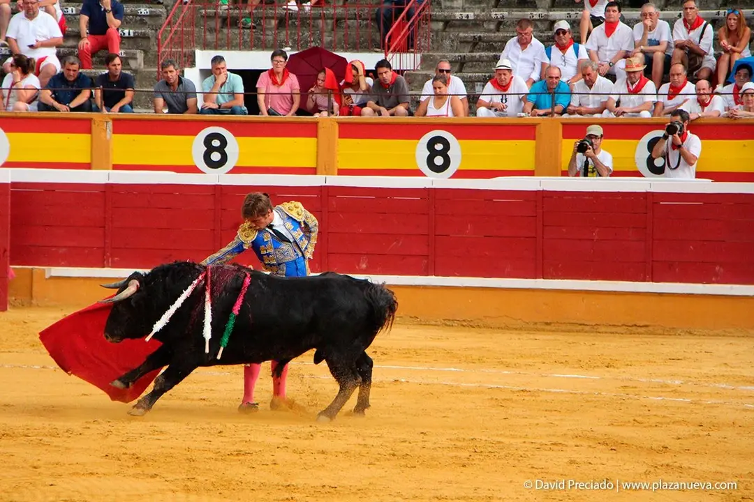 Fiestas de Tudela &rsquo;19, d&iacute;a 25 - Novillada con picadores 9