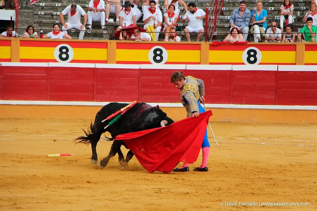Fiestas de Tudela &rsquo;19, d&iacute;a 25 - Novillada con picadores 10