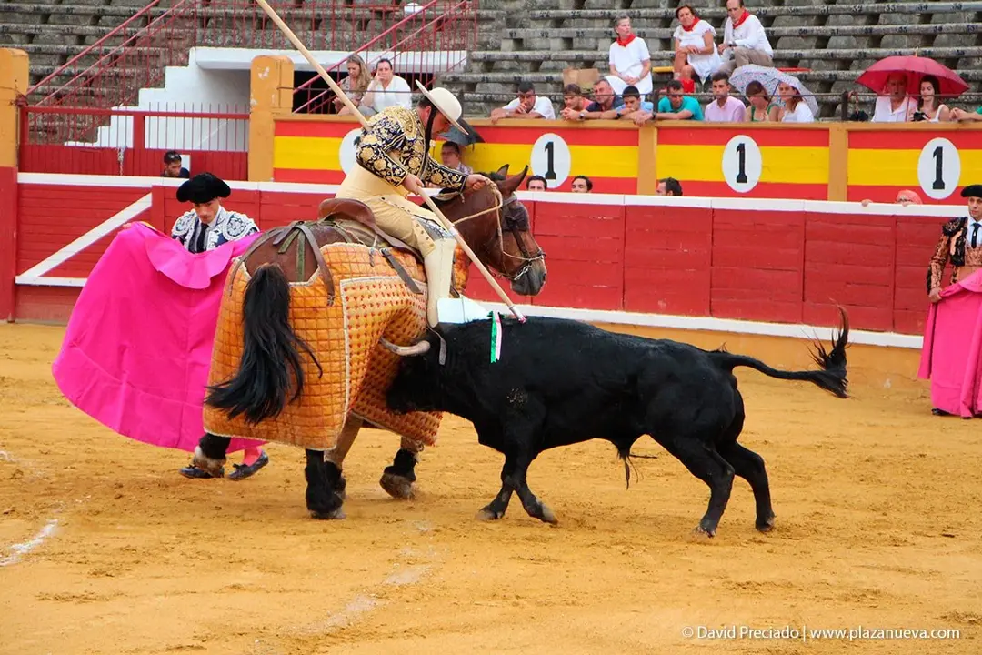 Fiestas de Tudela &rsquo;19, d&iacute;a 25 - Novillada con picadores 12