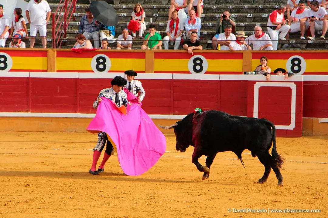 Fiestas de Tudela &rsquo;19, d&iacute;a 25 - Novillada con picadores 13