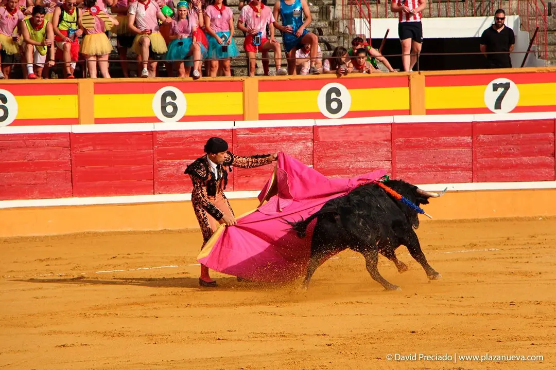 Fiestas de Tudela &rsquo;19, d&iacute;a 25 - Novillada con picadores 15