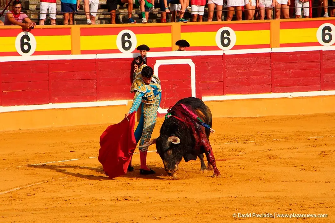 Fiestas de Tudela &rsquo;19, d&iacute;a 25 - Novillada con picadores 16