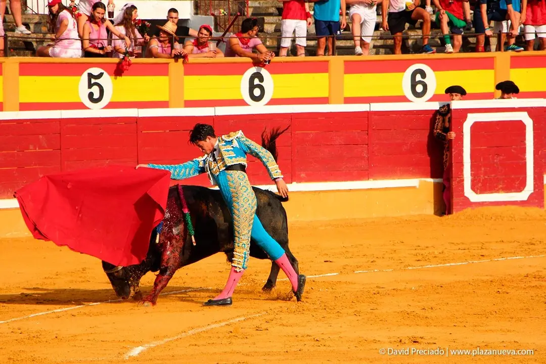 Fiestas de Tudela &rsquo;19, d&iacute;a 25 - Novillada con picadores 17