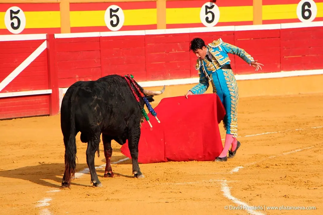 Fiestas de Tudela &rsquo;19, d&iacute;a 25 - Novillada con picadores 18