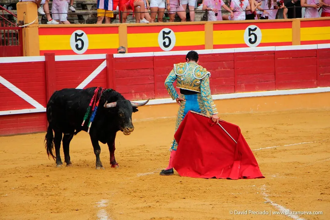 Fiestas de Tudela &rsquo;19, d&iacute;a 25 - Novillada con picadores 19