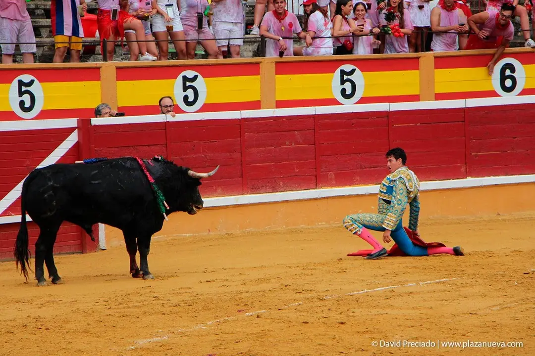 Fiestas de Tudela &rsquo;19, d&iacute;a 25 - Novillada con picadores 21
