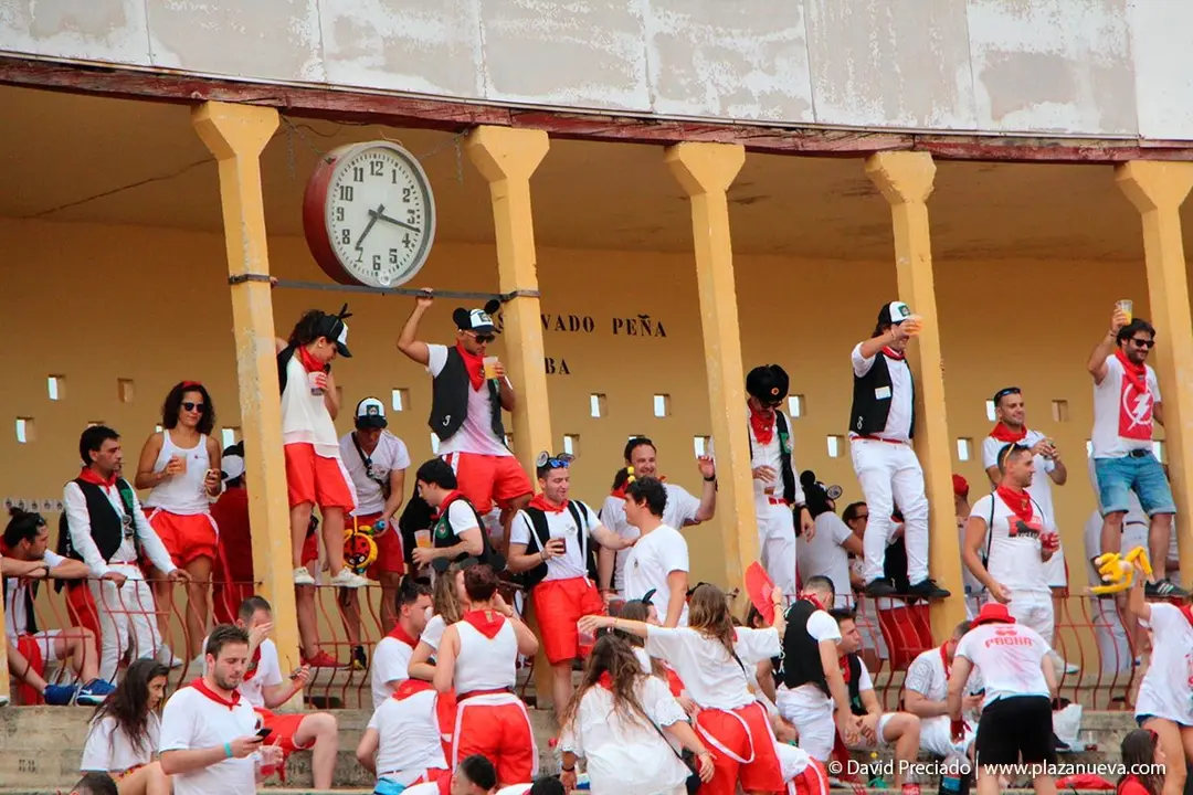 Fiestas de Tudela &rsquo;19, d&iacute;a 25 - Novillada con picadores 24