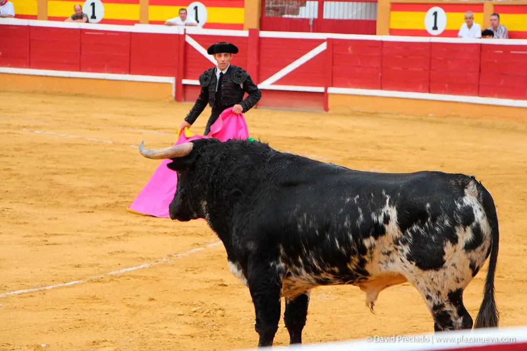 Fiestas de Tudela &rsquo;19, d&iacute;a 25 - Novillada con picadores 26