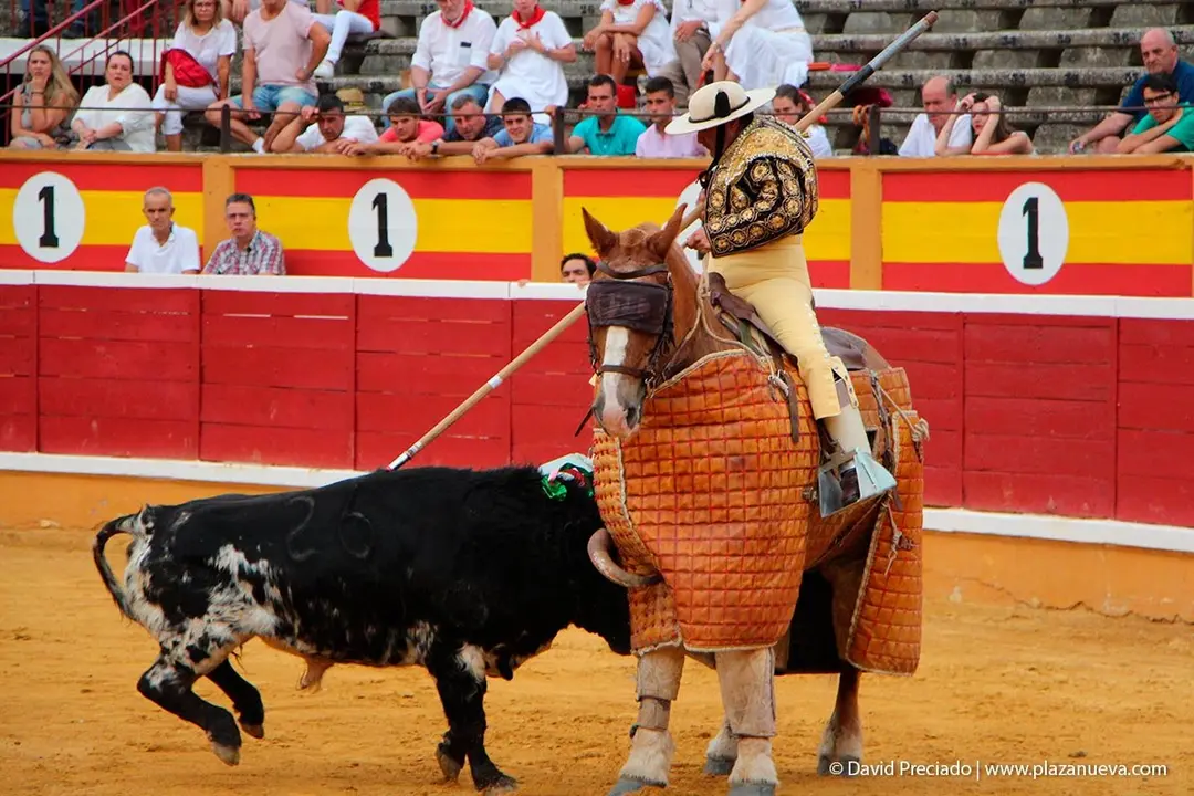 Fiestas de Tudela &rsquo;19, d&iacute;a 25 - Novillada con picadores 27