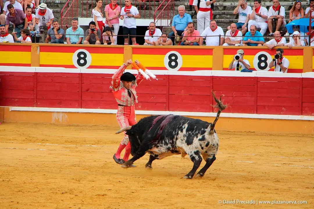 Fiestas de Tudela &rsquo;19, d&iacute;a 25 - Novillada con picadores 29