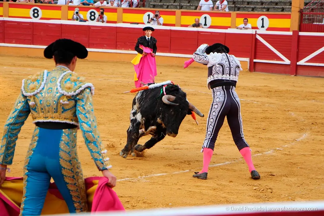 Fiestas de Tudela &rsquo;19, d&iacute;a 25 - Novillada con picadores 30