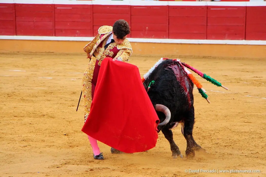 Fiestas de Tudela &rsquo;19, d&iacute;a 25 - Novillada con picadores 33