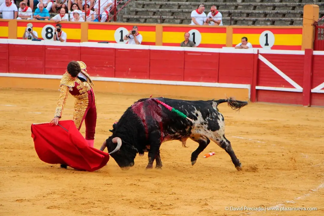 Fiestas de Tudela &rsquo;19, d&iacute;a 25 - Novillada con picadores 34