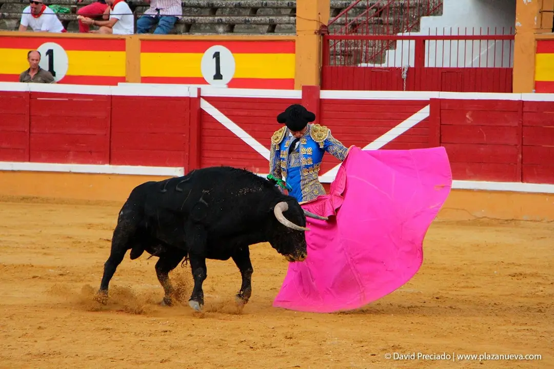 Fiestas de Tudela &rsquo;19, d&iacute;a 25 - Novillada con picadores 36