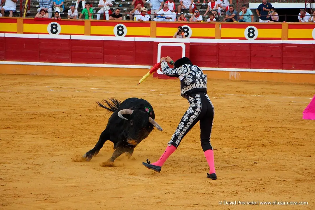 Fiestas de Tudela &rsquo;19, d&iacute;a 25 - Novillada con picadores 38