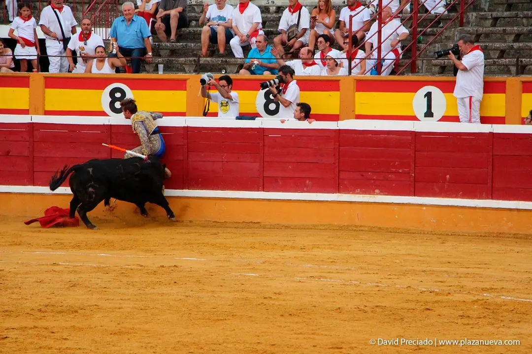 Fiestas de Tudela &rsquo;19, d&iacute;a 25 - Novillada con picadores 41
