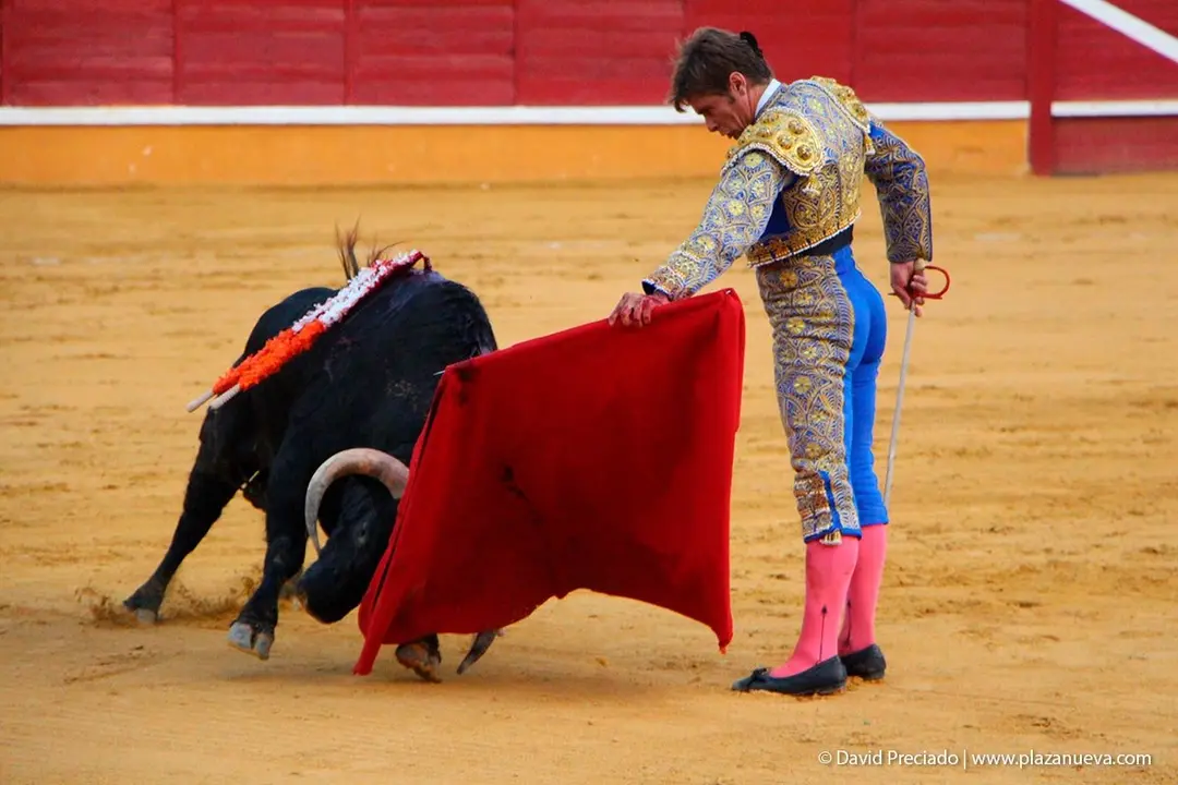 Fiestas de Tudela &rsquo;19, d&iacute;a 25 - Novillada con picadores 42