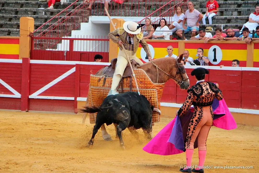 Fiestas de Tudela &rsquo;19, d&iacute;a 25 - Novillada con picadores 44