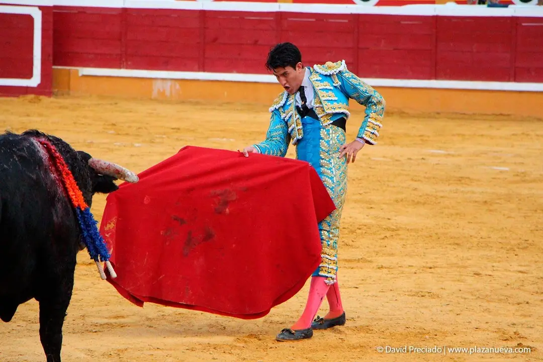Fiestas de Tudela &rsquo;19, d&iacute;a 25 - Novillada con picadores 46