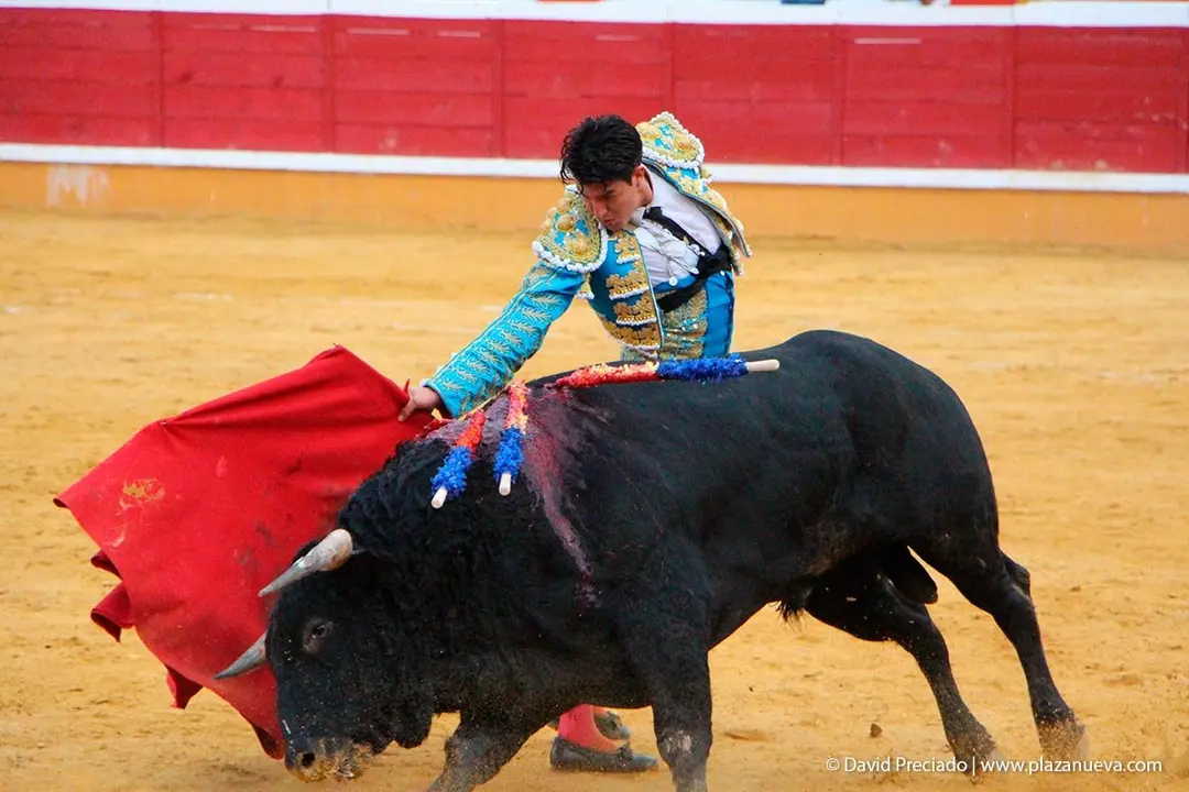 Fiestas de Tudela &rsquo;19, d&iacute;a 25 - Novillada con picadores 47