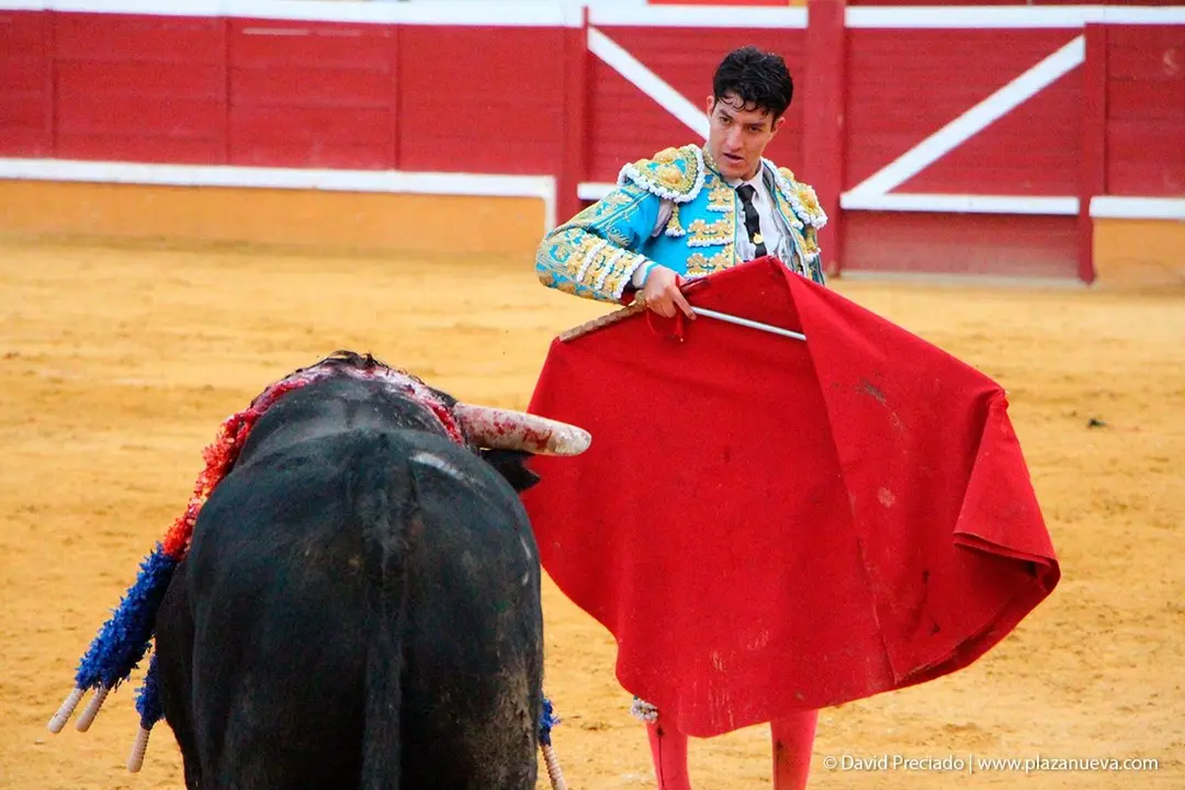 Fiestas de Tudela &rsquo;19, d&iacute;a 25 - Novillada con picadores 48