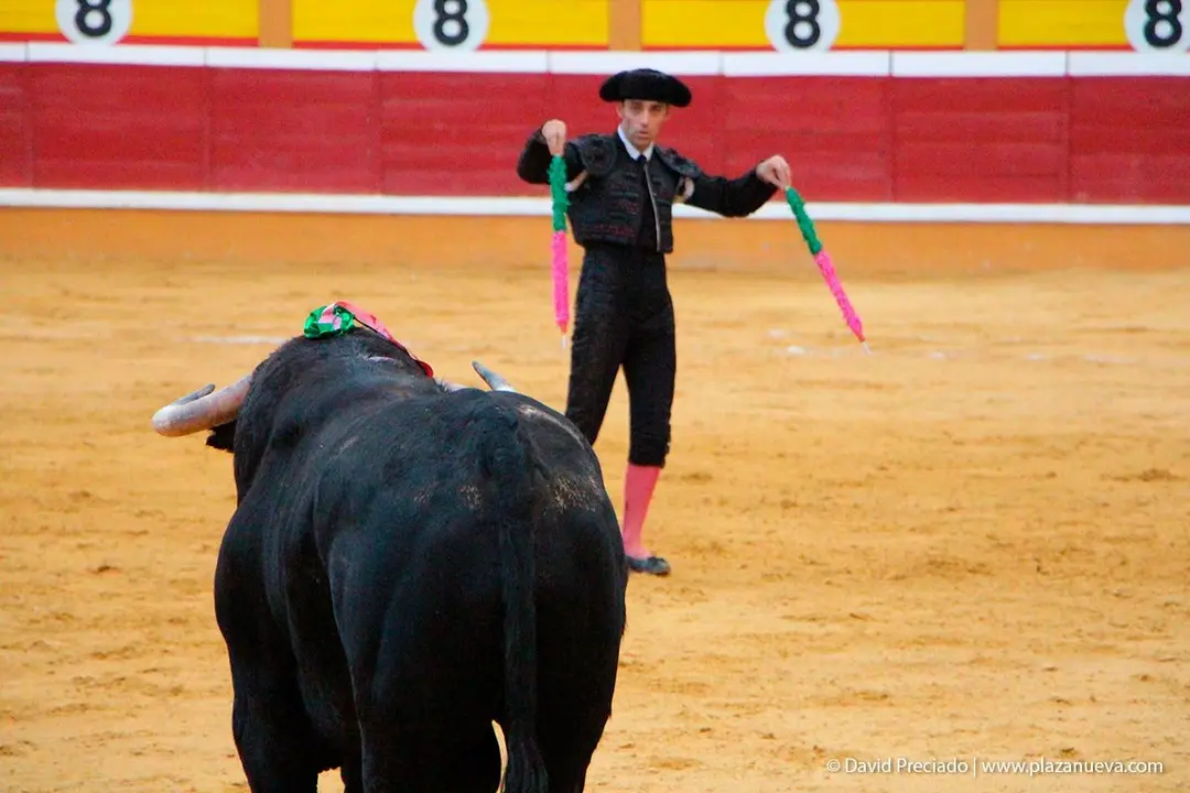Fiestas de Tudela &rsquo;19, d&iacute;a 25 - Novillada con picadores 53