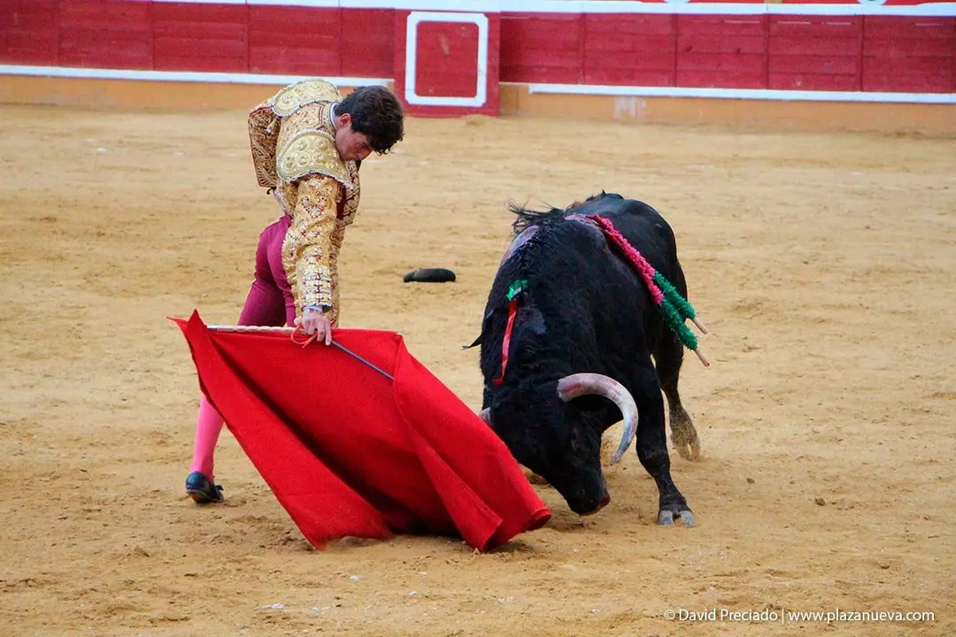 Fiestas de Tudela &rsquo;19, d&iacute;a 25 - Novillada con picadores 54