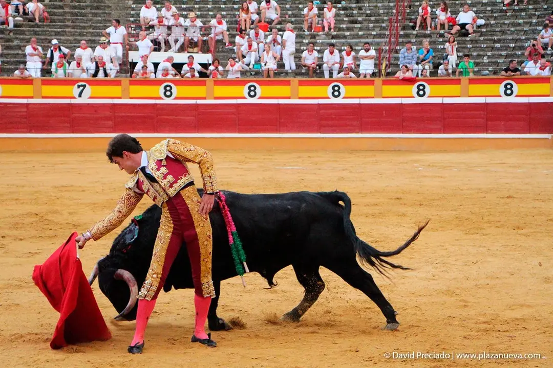 Fiestas de Tudela &rsquo;19, d&iacute;a 25 - Novillada con picadores 55