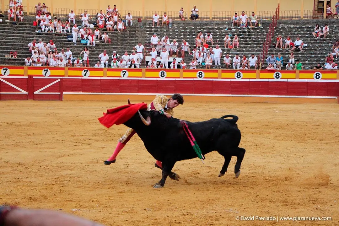 Fiestas de Tudela &rsquo;19, d&iacute;a 25 - Novillada con picadores 56