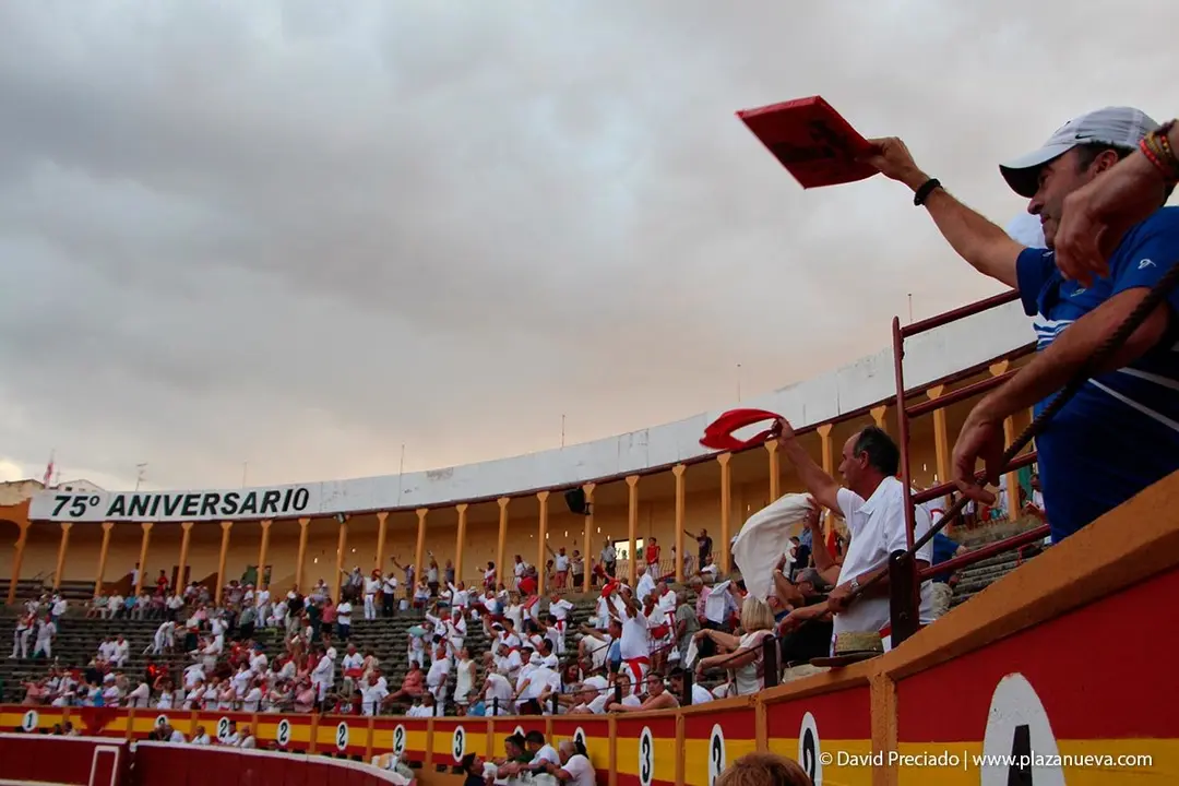 Fiestas de Tudela &rsquo;19, d&iacute;a 25 - Novillada con picadores 57