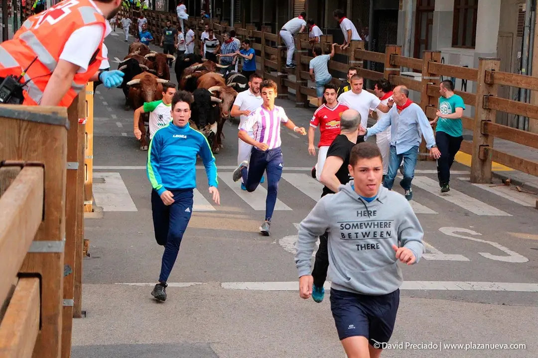 Fiestas de Tudela &rsquo;19, d&iacute;a 26 - Encierro y vacas en la plaza 2