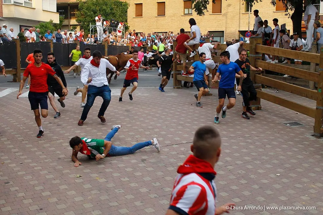 Fiestas de Tudela &rsquo;19, d&iacute;a 26 - Encierro y vacas en la plaza 8