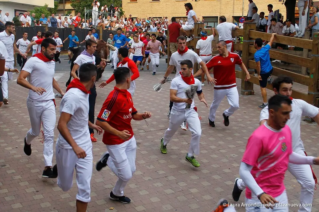 Fiestas de Tudela &rsquo;19, d&iacute;a 26 - Encierro y vacas en la plaza 13