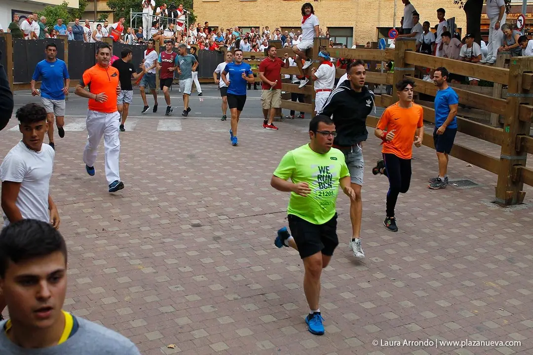 Fiestas de Tudela &rsquo;19, d&iacute;a 26 - Encierro y vacas en la plaza 18