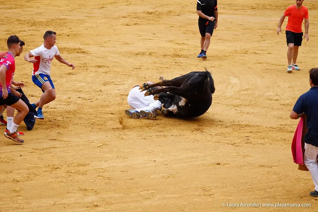 Fiestas de Tudela &rsquo;19, d&iacute;a 26 - Encierro y vacas en la plaza 31