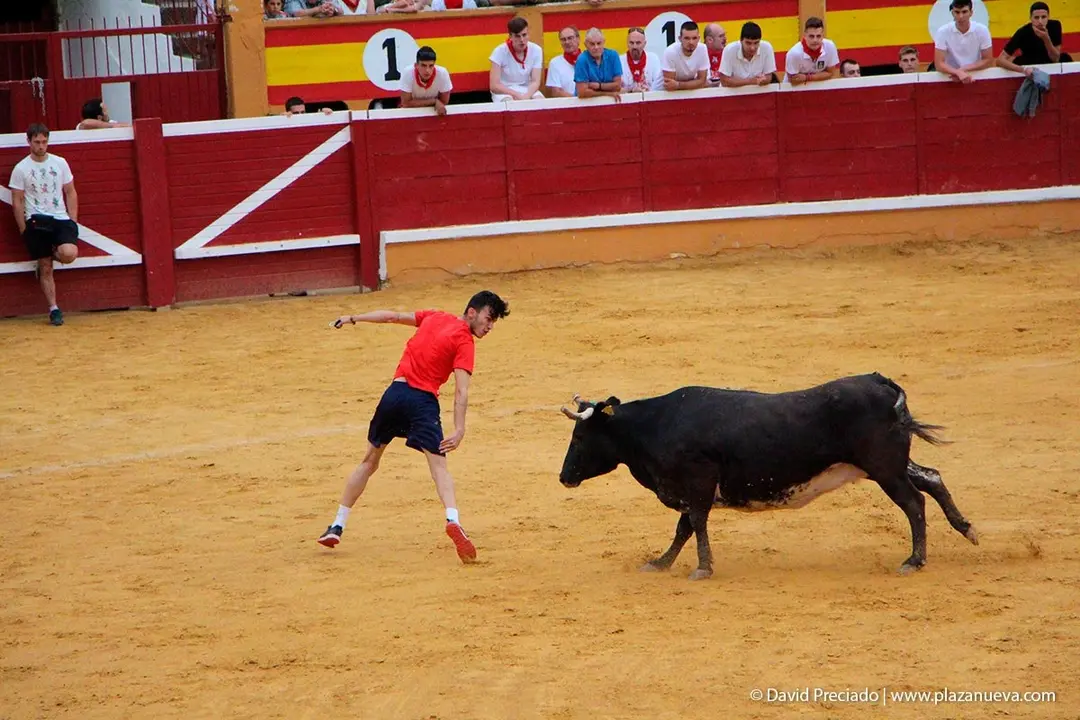 Fiestas de Tudela &rsquo;19, d&iacute;a 26 - Encierro y vacas en la plaza 37