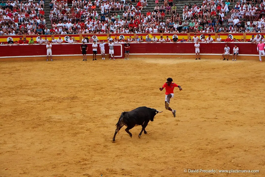 Fiestas de Tudela &rsquo;19, d&iacute;a 26 - Encierro y vacas en la plaza 39