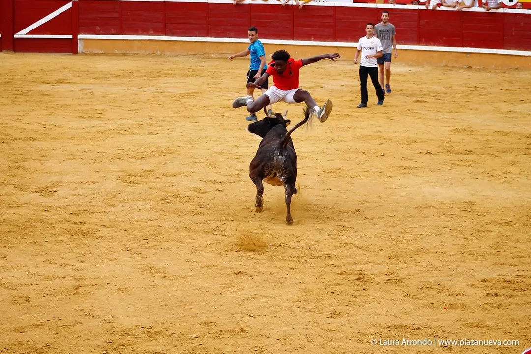 Fiestas de Tudela &rsquo;19, d&iacute;a 26 - Encierro y vacas en la plaza 40