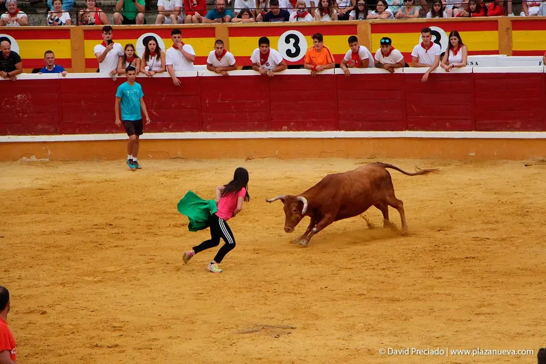 Fiestas de Tudela &rsquo;19, d&iacute;a 26 - Encierro y vacas en la plaza 47
