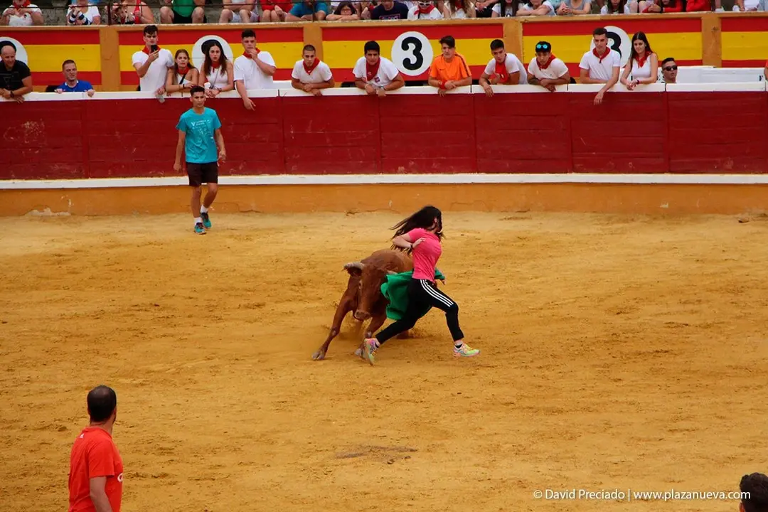 Fiestas de Tudela &rsquo;19, d&iacute;a 26 - Encierro y vacas en la plaza 48