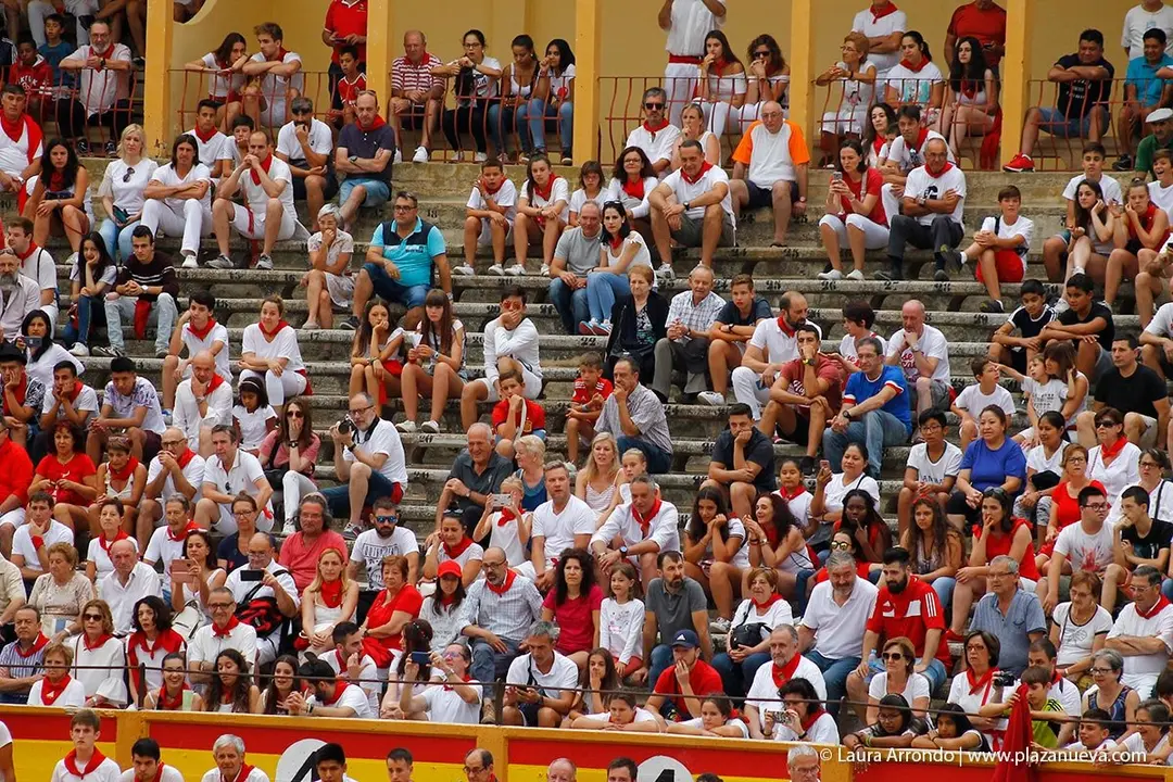 Fiestas de Tudela &rsquo;19, d&iacute;a 26 - Encierro y vacas en la plaza 54