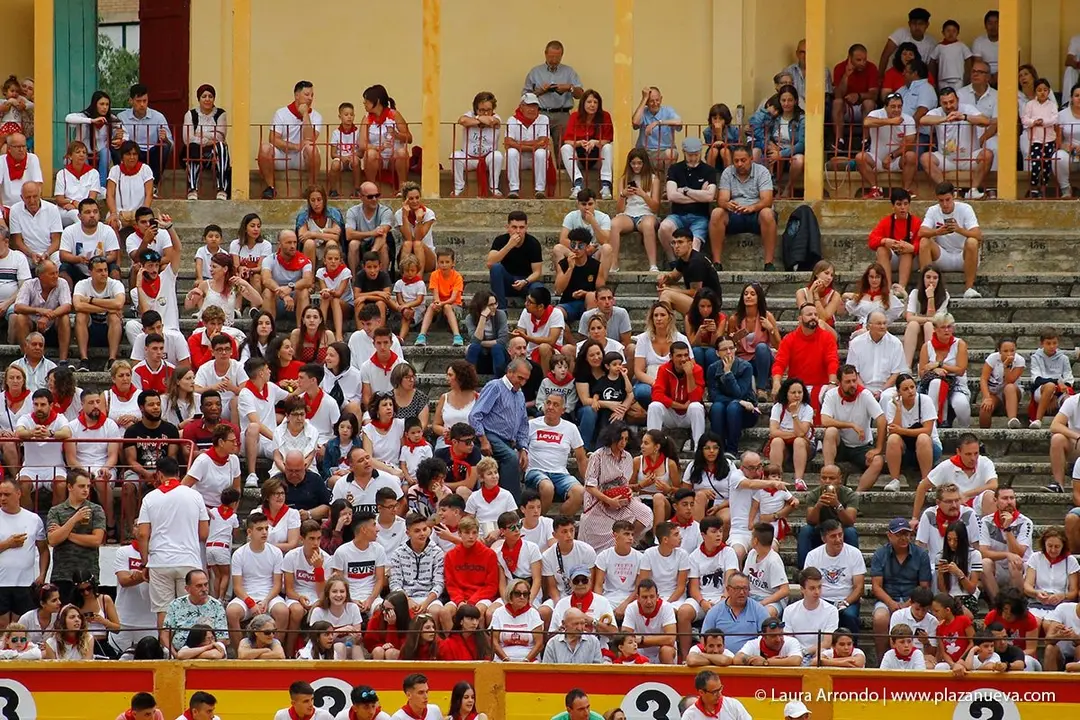 Fiestas de Tudela &rsquo;19, d&iacute;a 26 - Encierro y vacas en la plaza 55