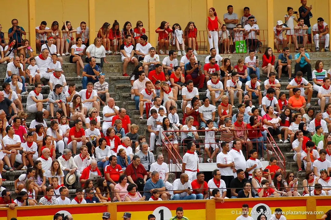Fiestas de Tudela &rsquo;19, d&iacute;a 26 - Encierro y vacas en la plaza 56