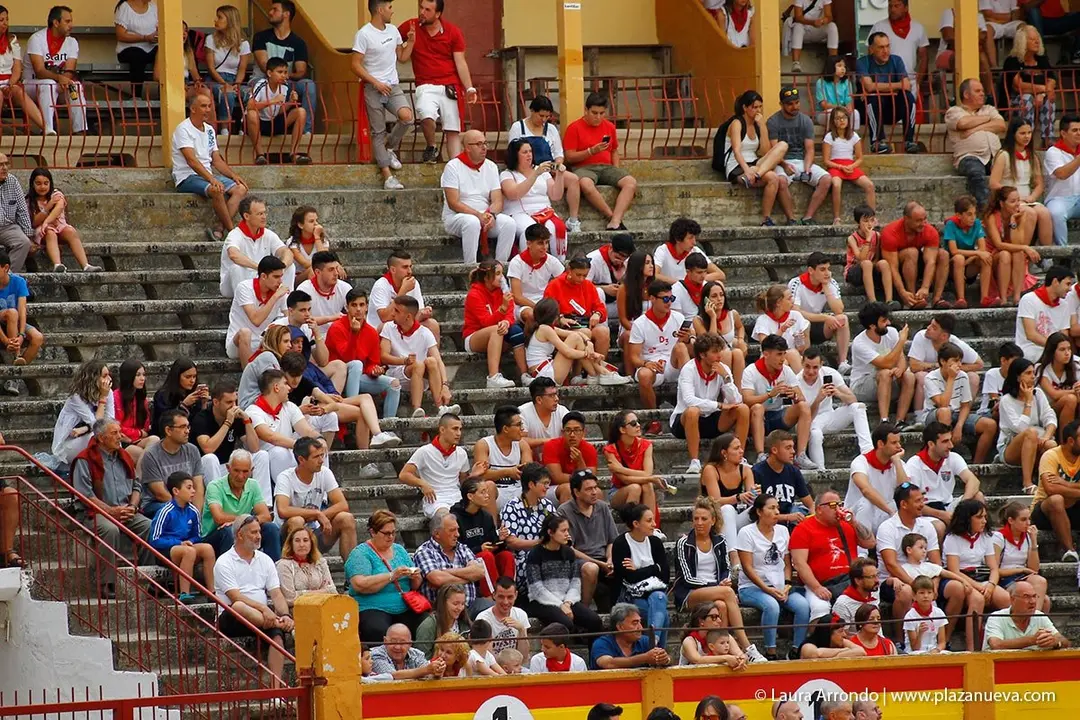 Fiestas de Tudela &rsquo;19, d&iacute;a 26 - Encierro y vacas en la plaza 57